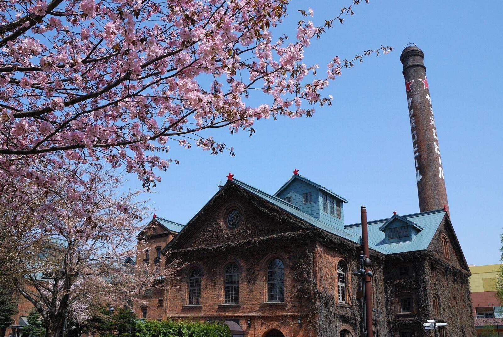 Hotel Wbf Sapporo Chuo Exterior foto